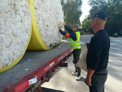 博乐市率先设立开放式棉检室 推动棉花透明收购成典范